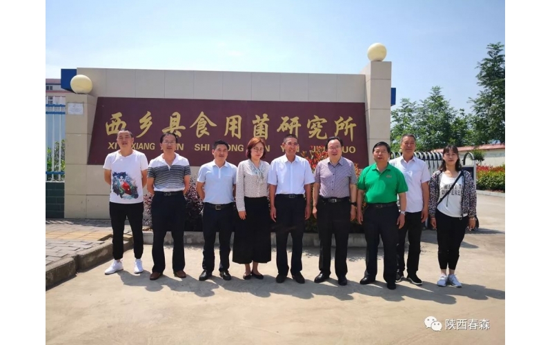中國食用菌協(xié)會副會長何方明一行蒞臨西鄉(xiāng)縣食用菌研究所調研